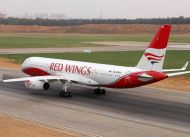 red-wings