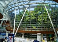 Kuala-Lumpur-Airport