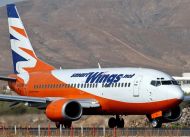 Smart-Wings