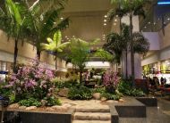Changi-Airport-Singapore