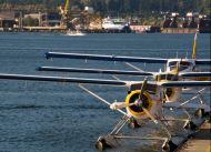 Harbour-Air