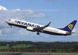 Лоукостер Ryanair разрешит брать на борт самолета маленьких животных