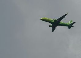 S7 Airlines  