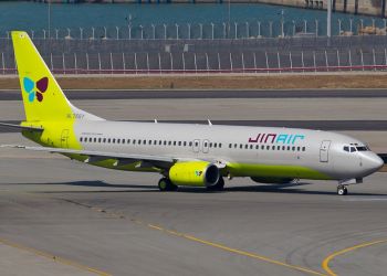 Лайнер «Jin Air» вернулся в аэровокзал после столкновения с птицей