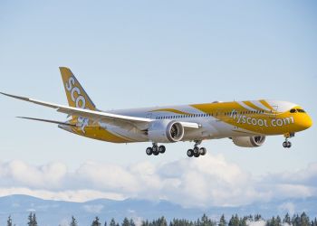 Компания Singapore Airlines может запустить в РФ лоукостер