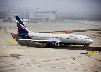 «Аэрофлот» внесет изменения в правила перевозки животных