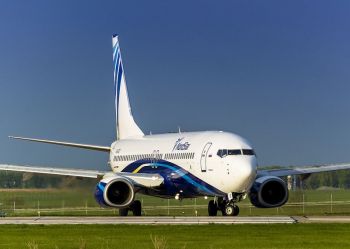 NordStar запустила возможность бронирования услуги перевозки животного в салоне